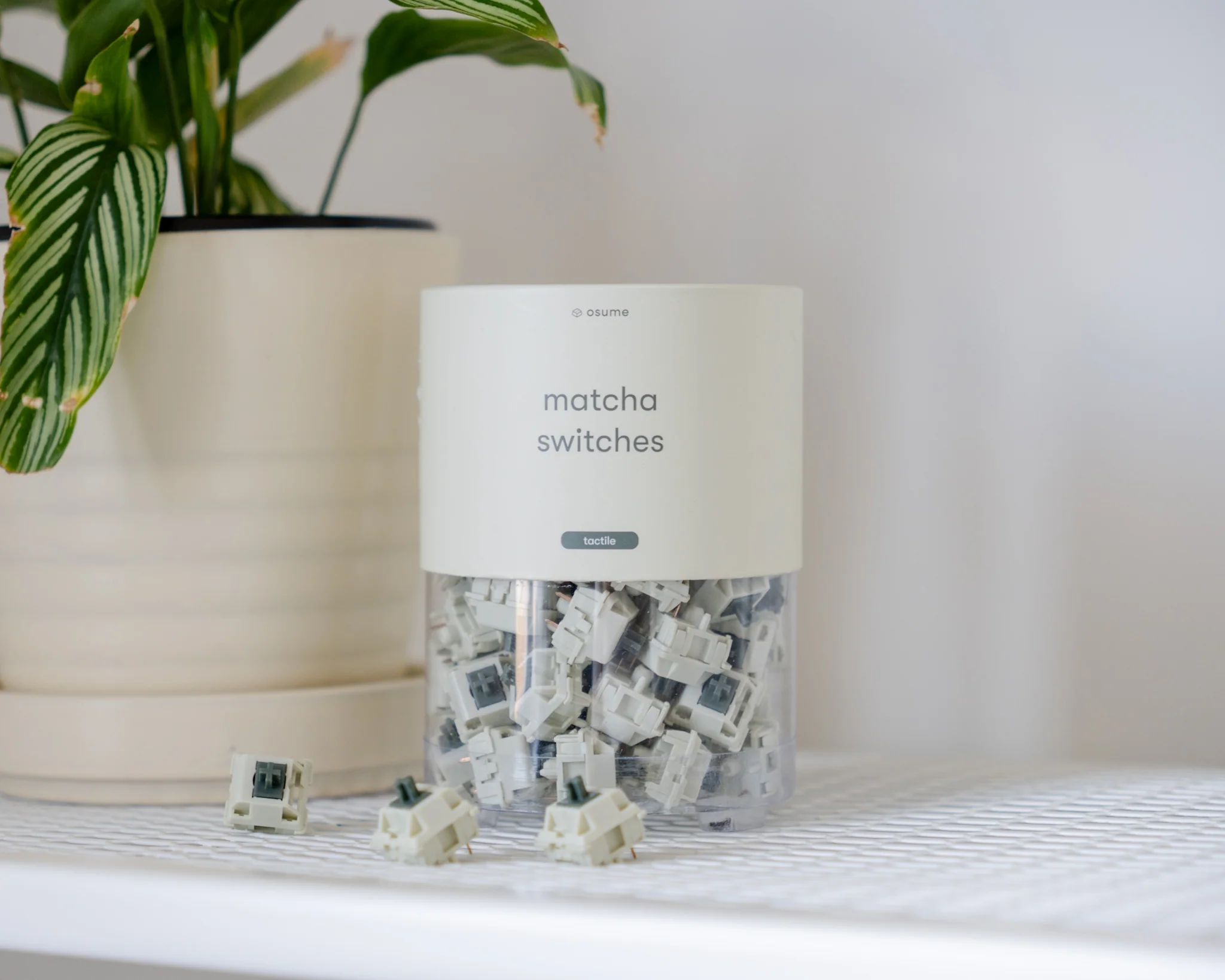 matcha tactile switches - Image 3